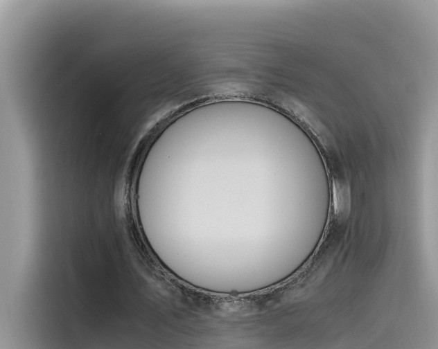 X0000115620579200911171317