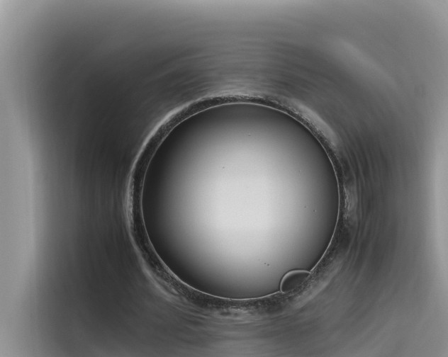 X0000115620580200911171317