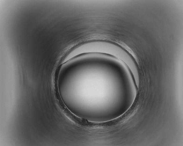 X0000115620581200911171317