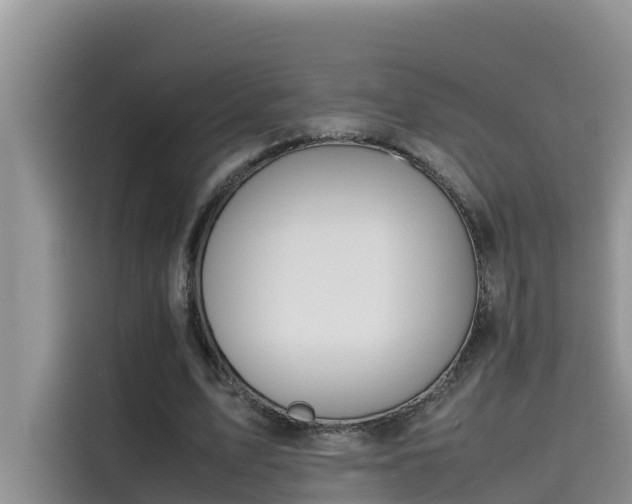 X0000115620583200911171317