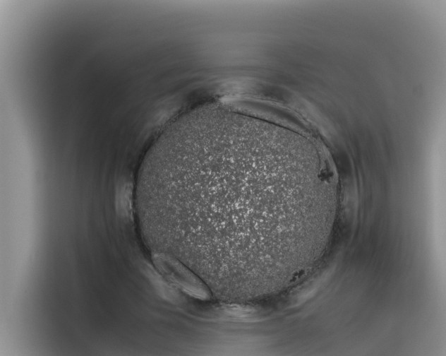 X0000115620585200911171317