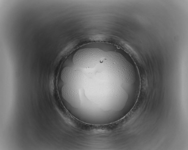 X0000115620586200911171317