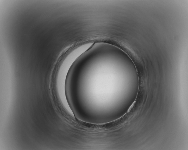 X0000115620587200911171317