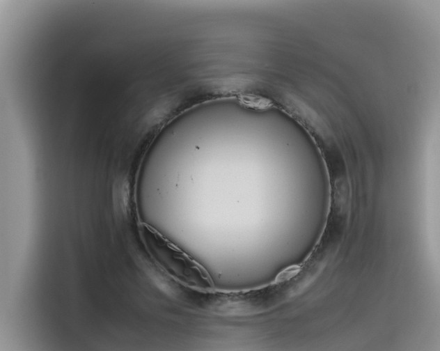 X0000115620589200911171317