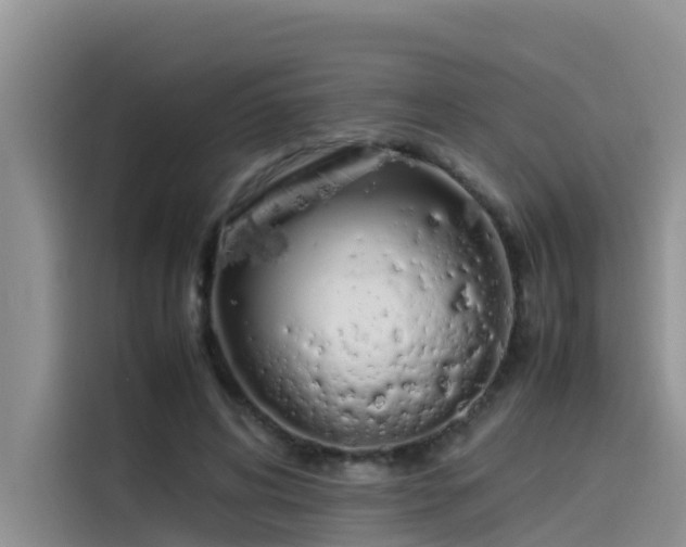 X0000115620592200911171317