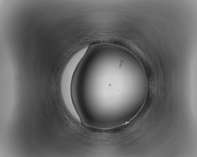 X0000115620593200911171317