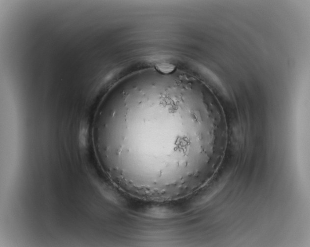 X0000115620596200911171317