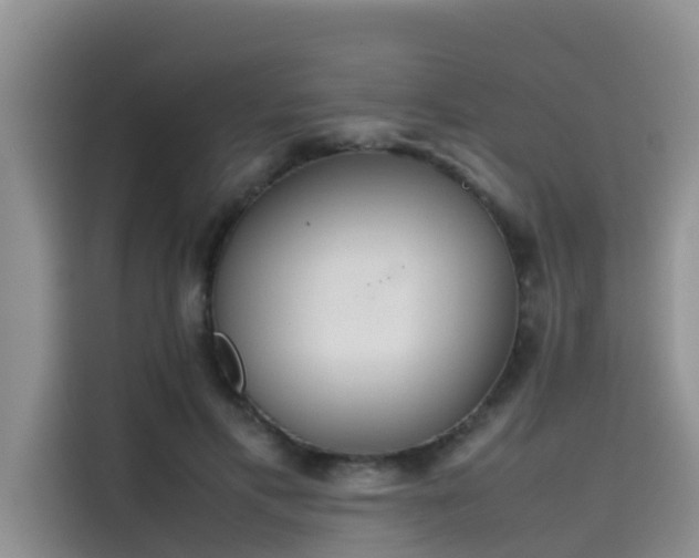 X0000115620597200911171317