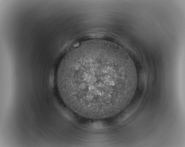 X0000115620600200911171317