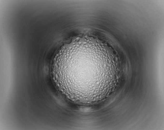 X0000115620602200911171317