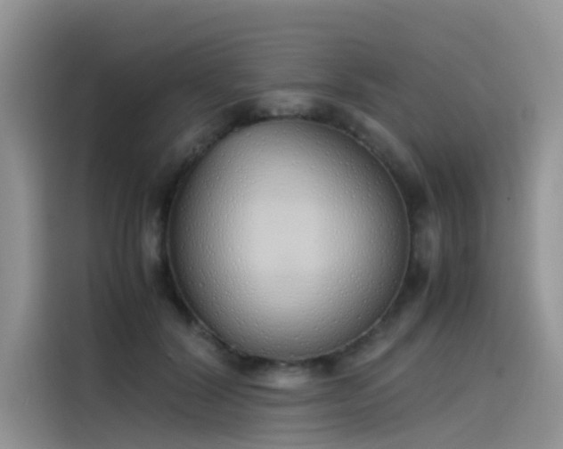 X0000115620604200911171317