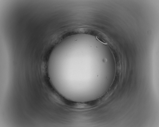 X0000115620605200911171317