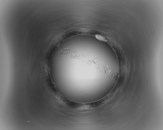 X0000115620609200911171317