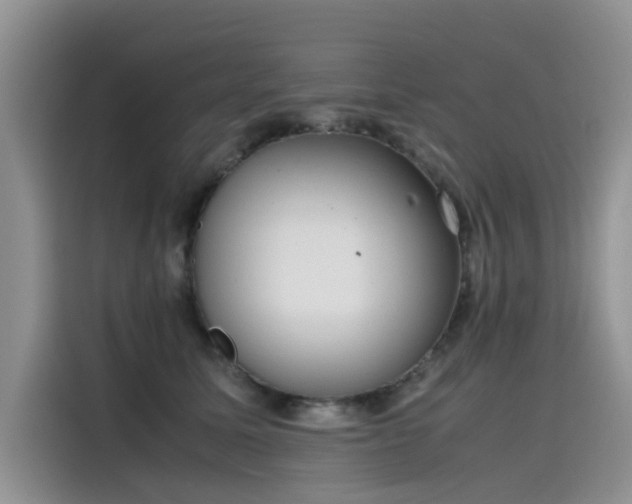 X0000115620611200911171317