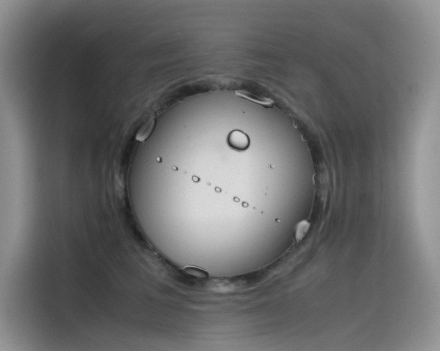 X0000115620613200911171317