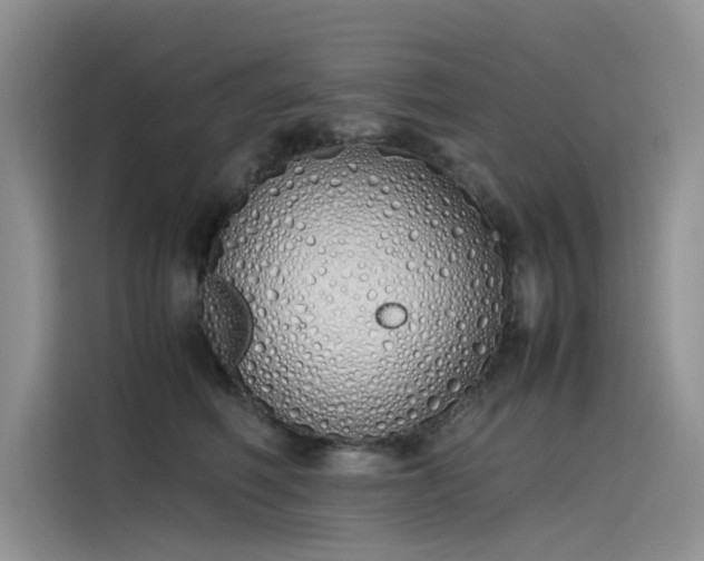 X0000115620614200911171317