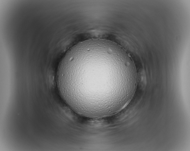 X0000115620615200911171317