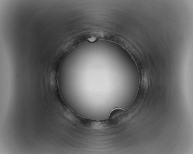 X0000115620616200911171317