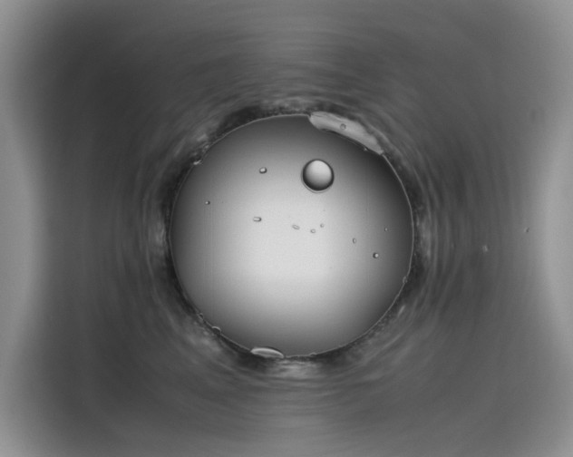 X0000115620617200911171317