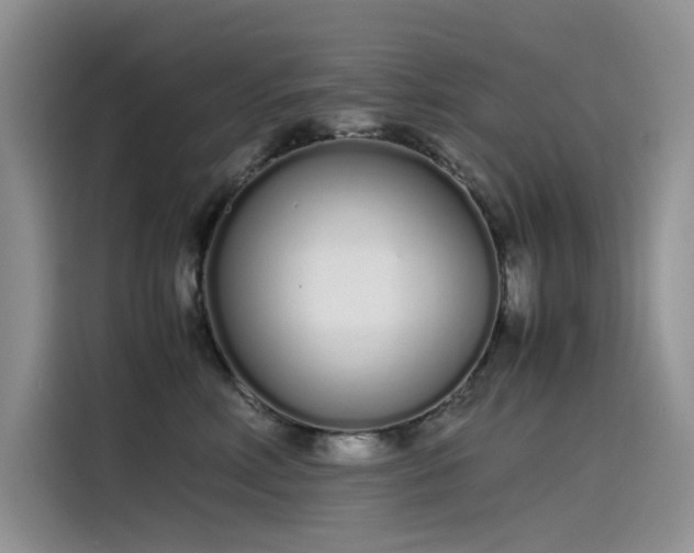 X0000115620618200911171317