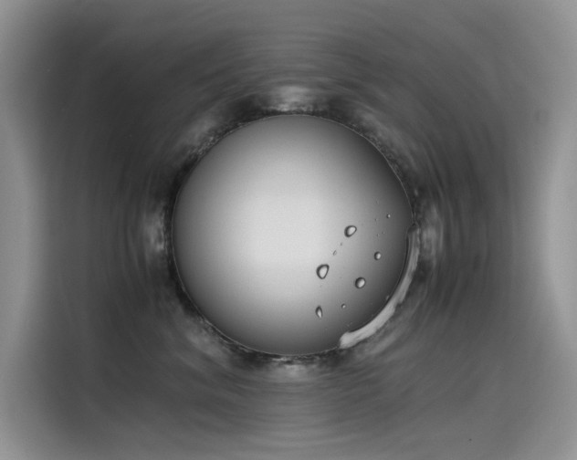 X0000115620620200911171317