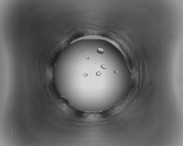 X0000115620621200911171317