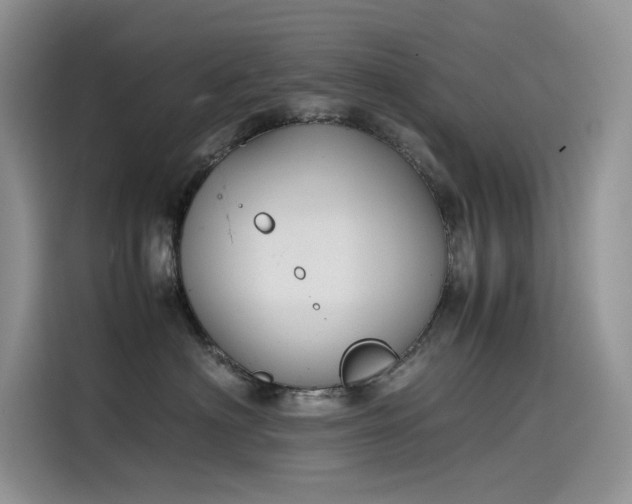 X0000115620622200911171317