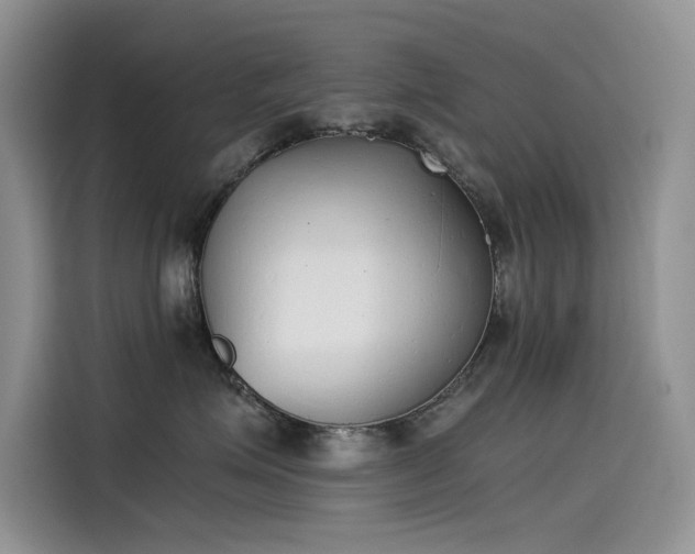 X0000115620623200911171317