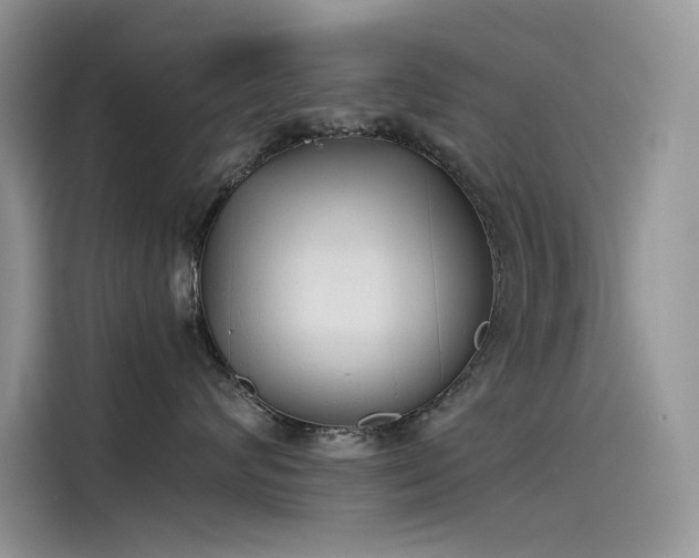 X0000115620624200911171317