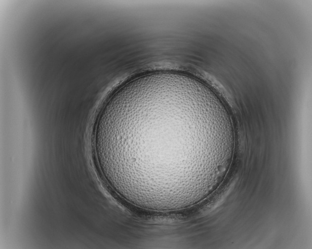 X0000115620625200911171316