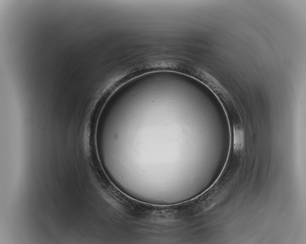 X0000115620627200911171316