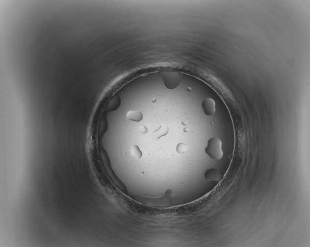 X0000115620628200911171316