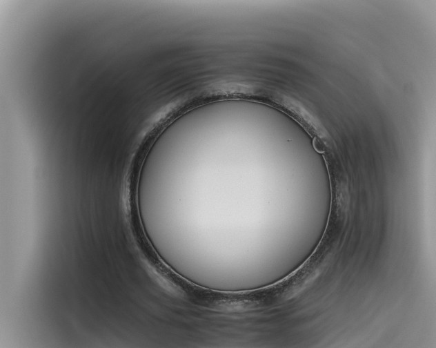 X0000115620629200911171316