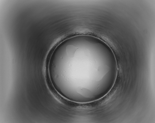 X0000115620630200911171316