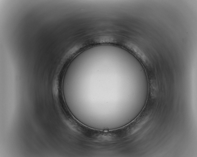 X0000115620631200911171316