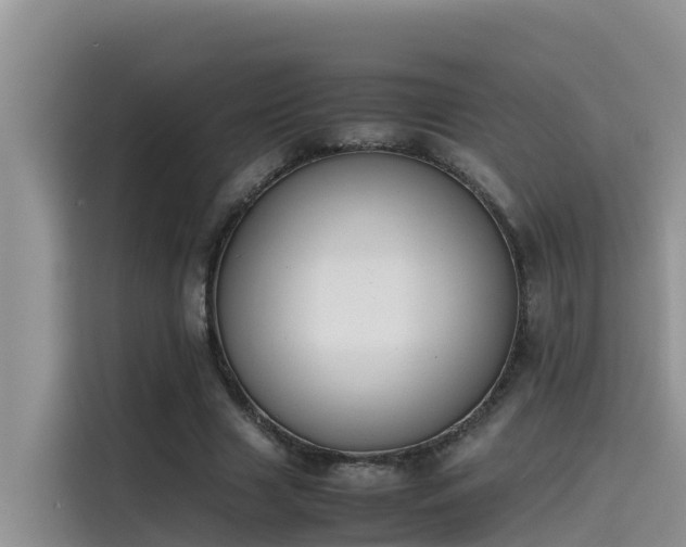 X0000115620633200911171316