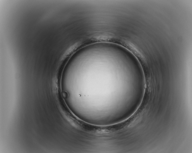 X0000115620634200911171316