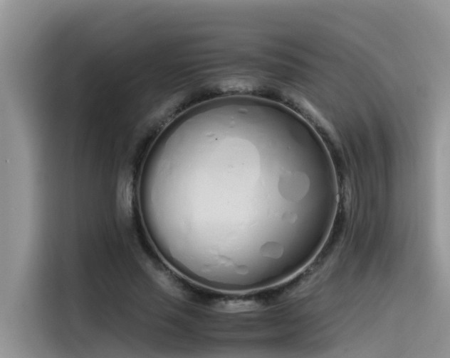 X0000115620637200911171316