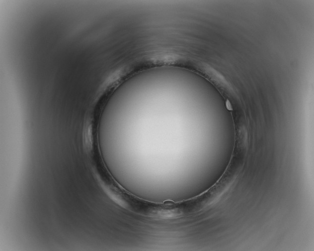 X0000115620638200911171316