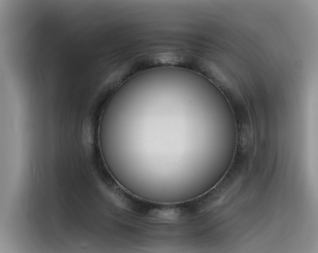 X0000115620639200911171316