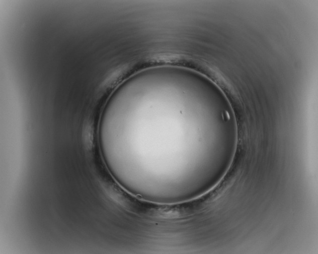 X0000115620640200911171316