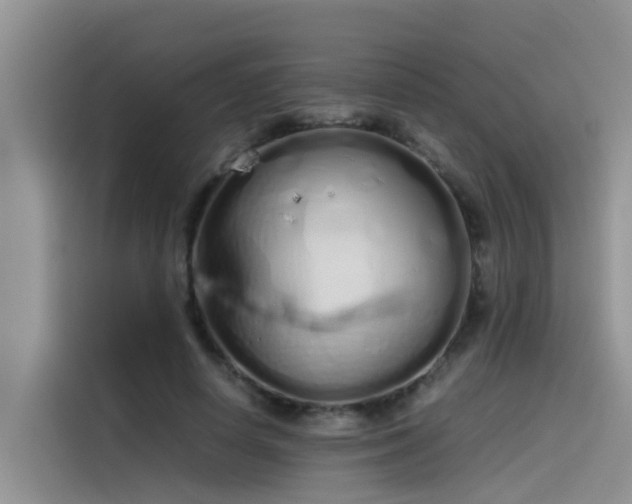 X0000115620642200911171316