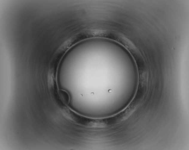 X0000115620644200911171317