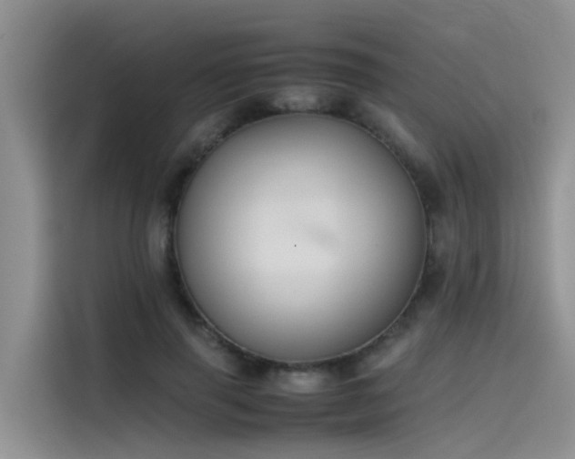 X0000115620645200911171317