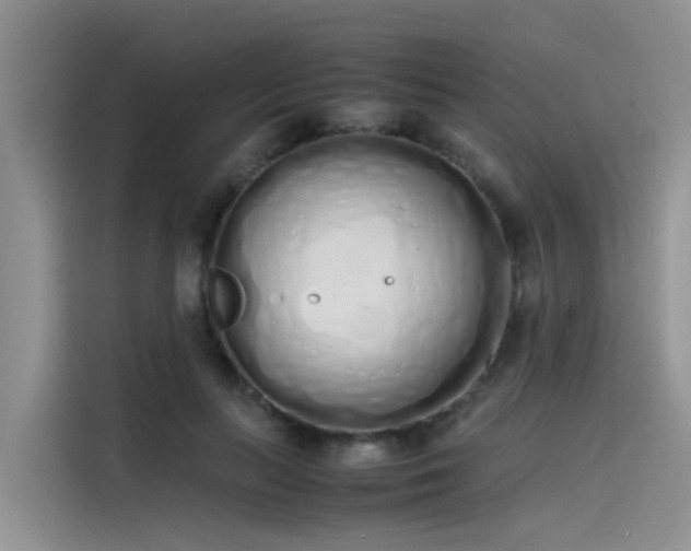 X0000115620647200911171317