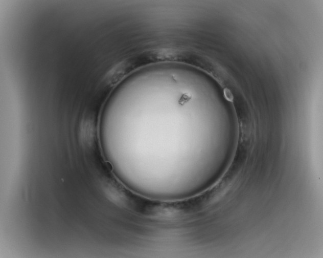 X0000115620648200911171317