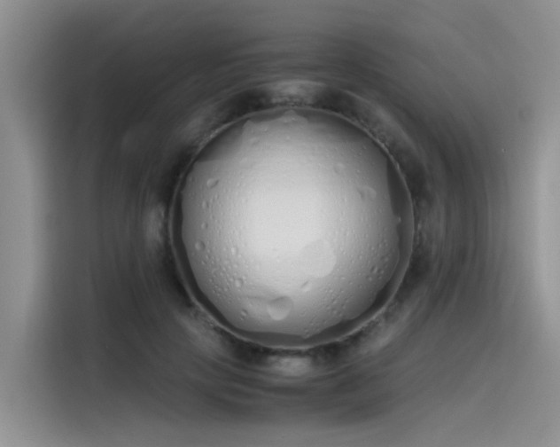 X0000115620649200911171317