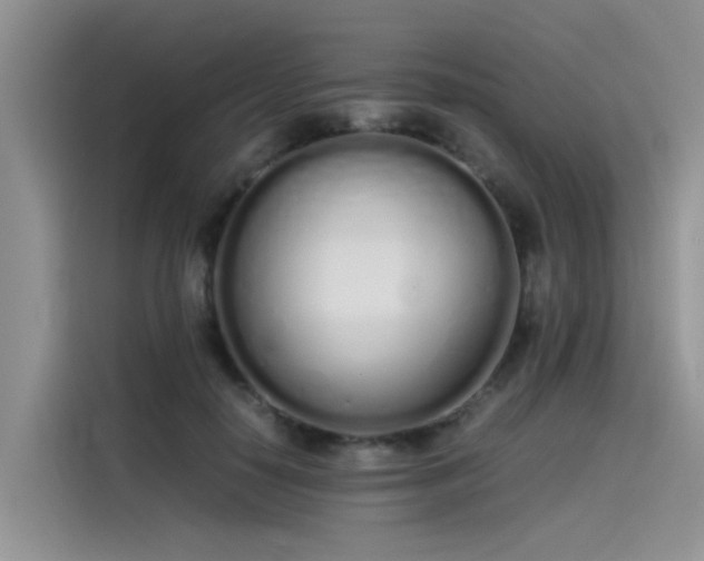 X0000115620650200911171317