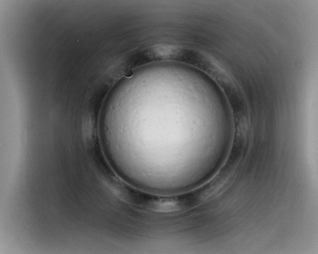 X0000115620651200911171317