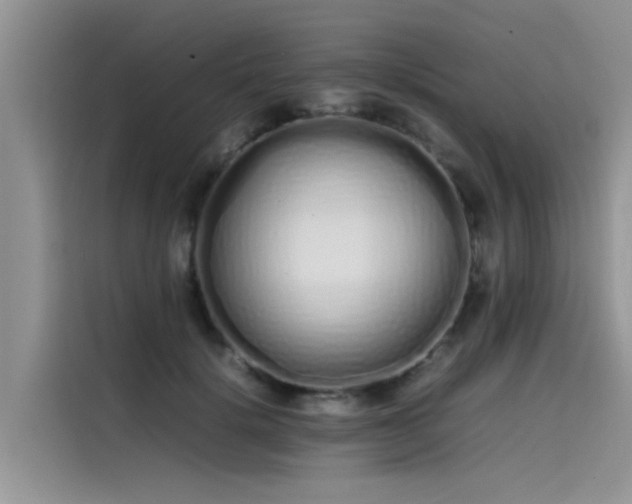 X0000115620652200911171317